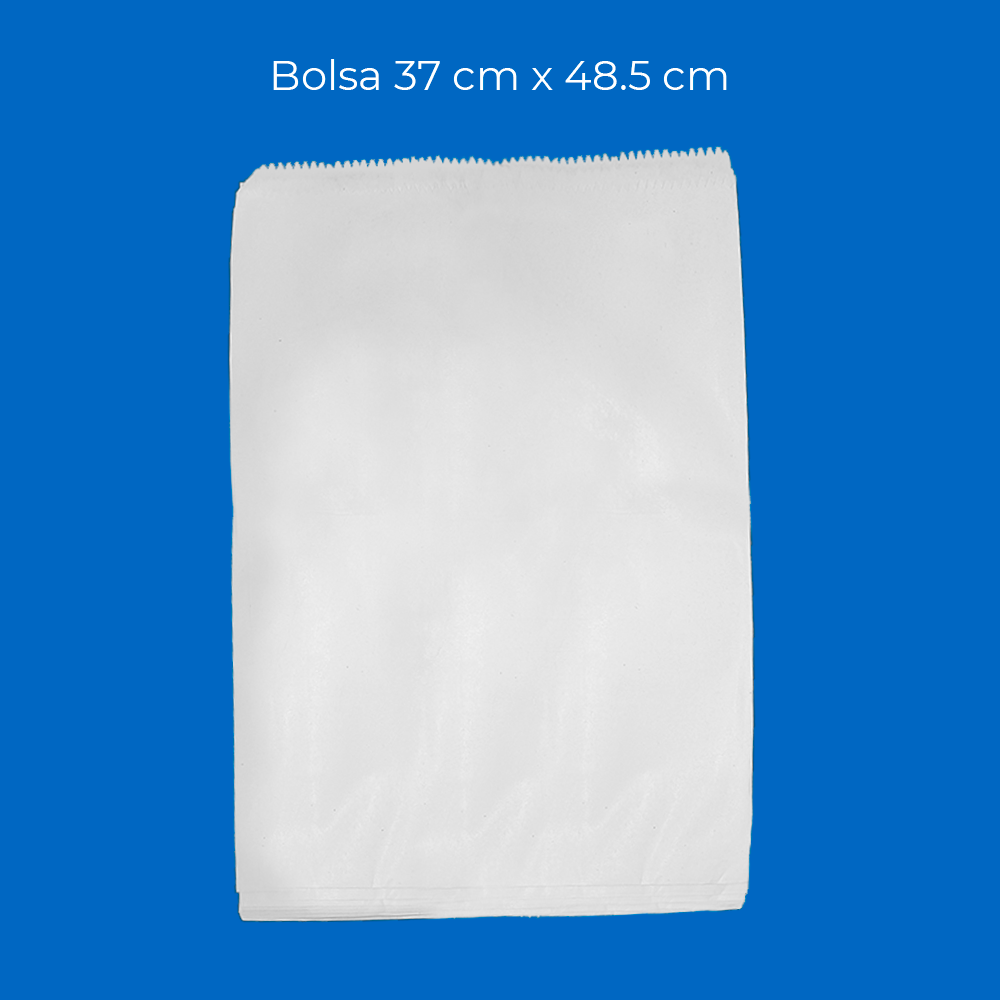 Bolsa Estraza Blanca 15x19  c/100pz
