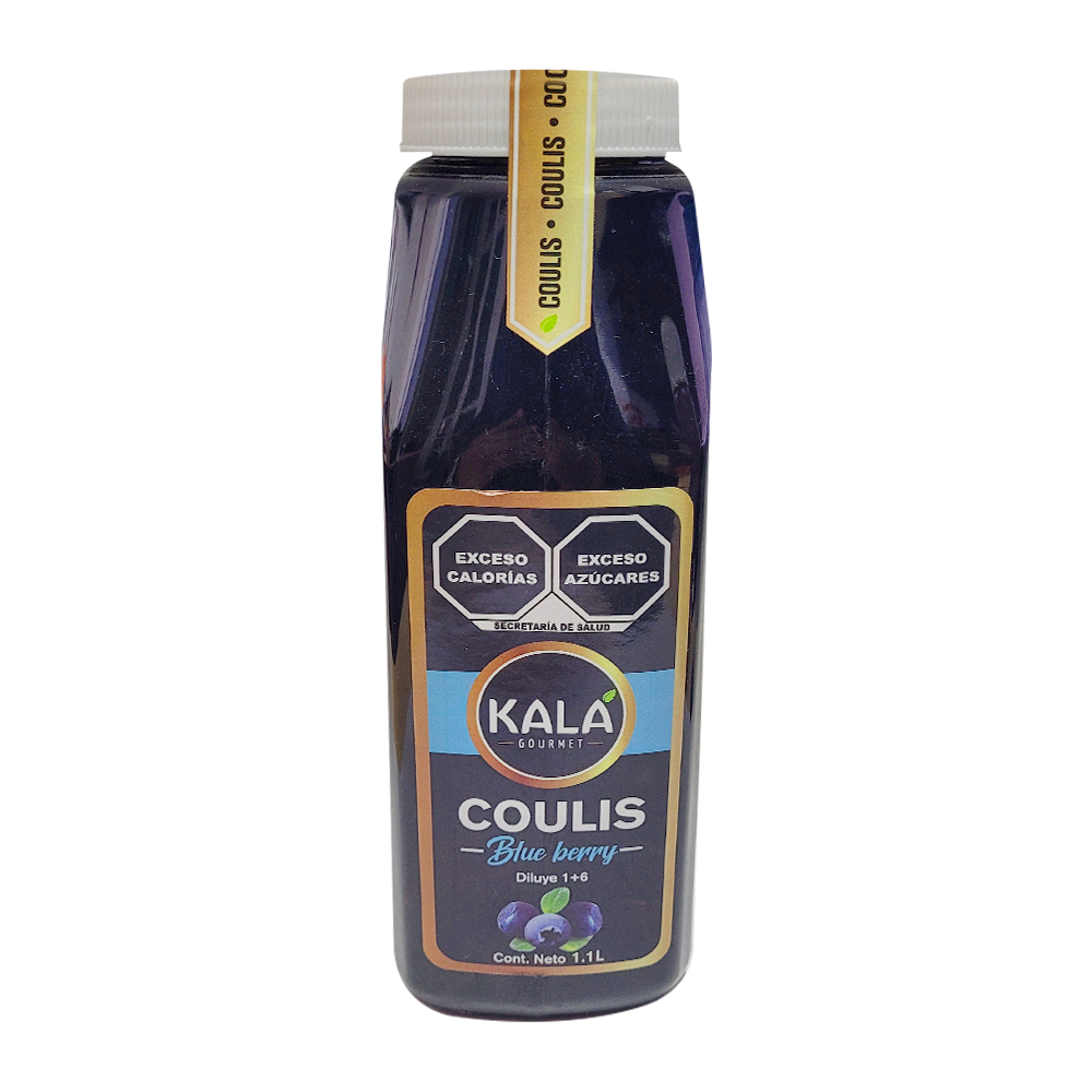 Coulis Blueberry c/1.100lt