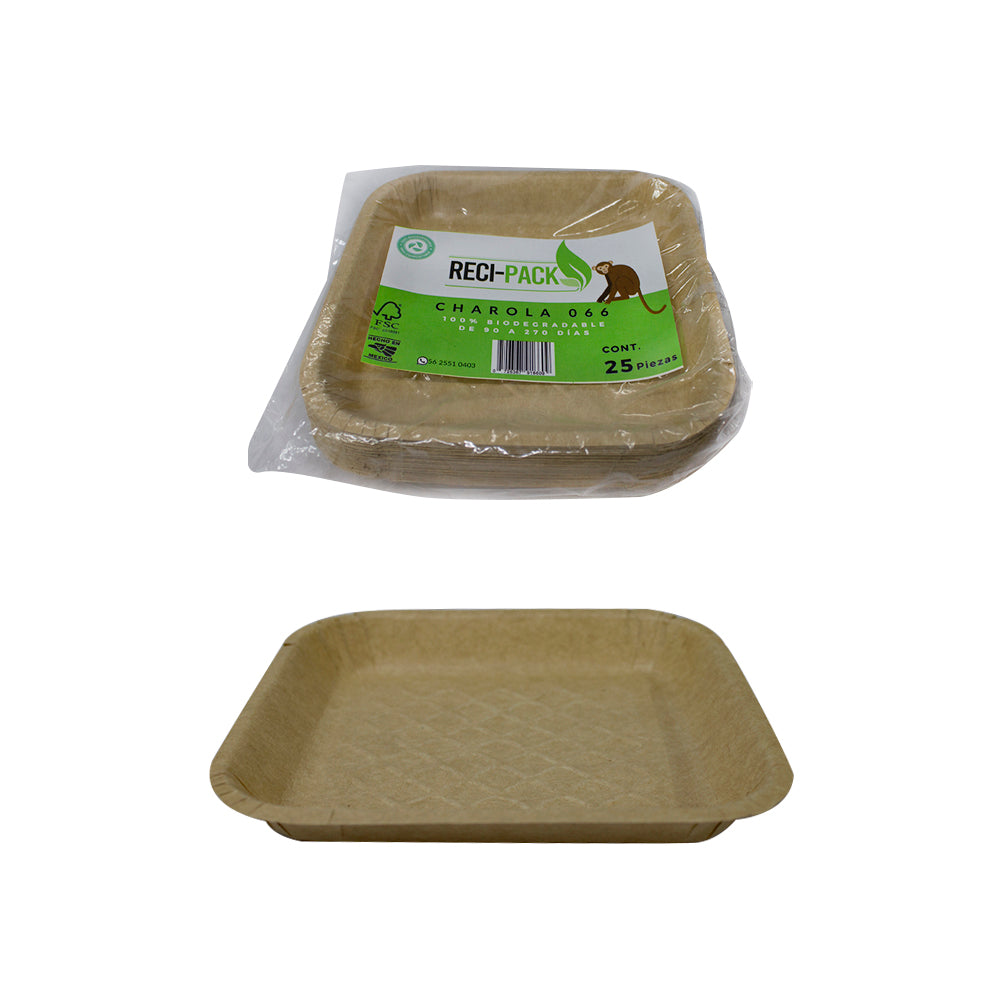 Plato 066 Biodegradable Eco c/25pz