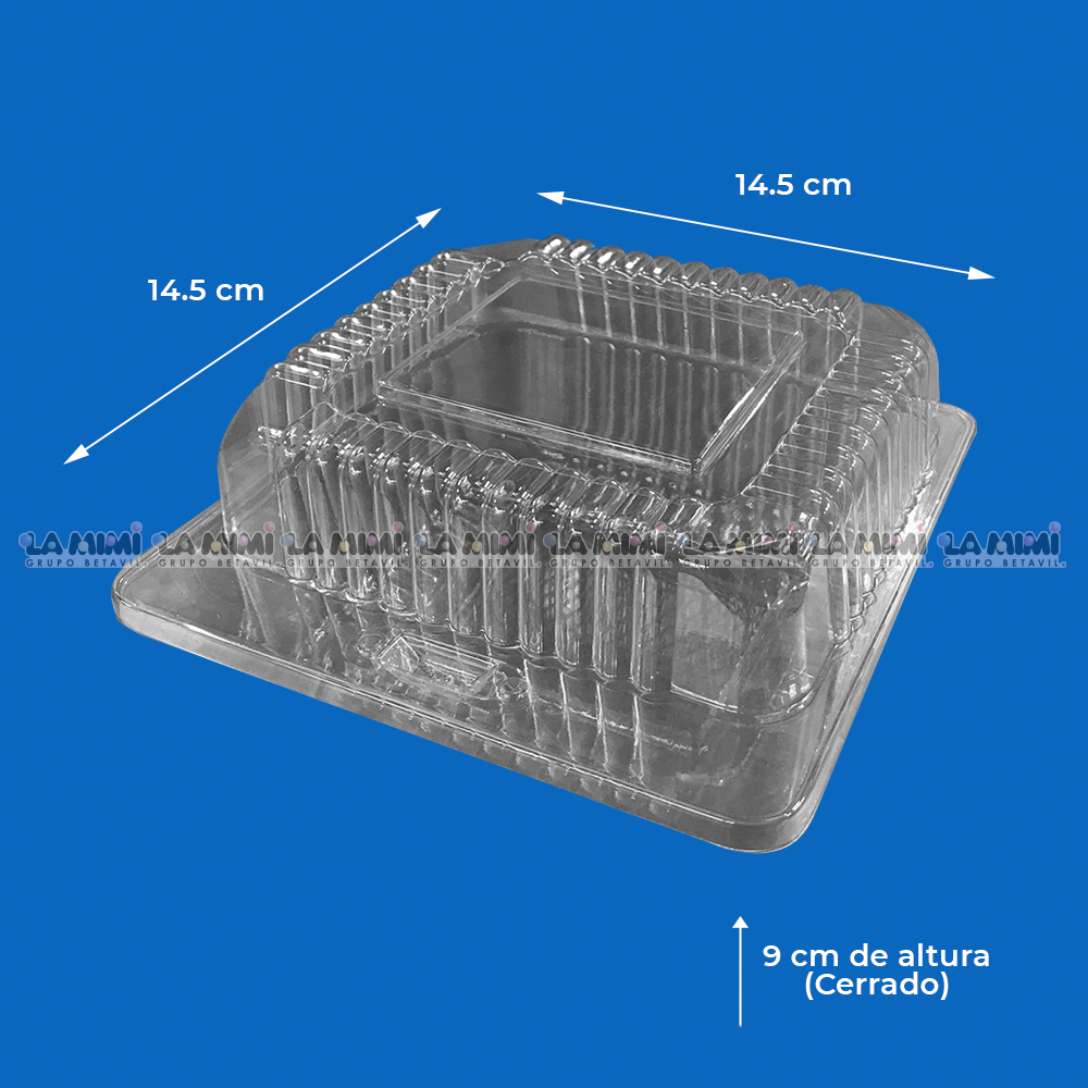 Contenedor Desechable 14x14x9 - INIX – La Mimi